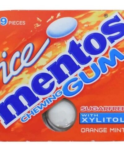 MENTOS ORANGE MINT CHEWING GUM 13.05G